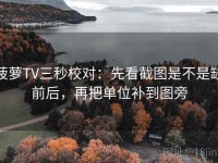 菠萝TV三秒校对：先看截图是不是缺前后，再把单位补到图旁