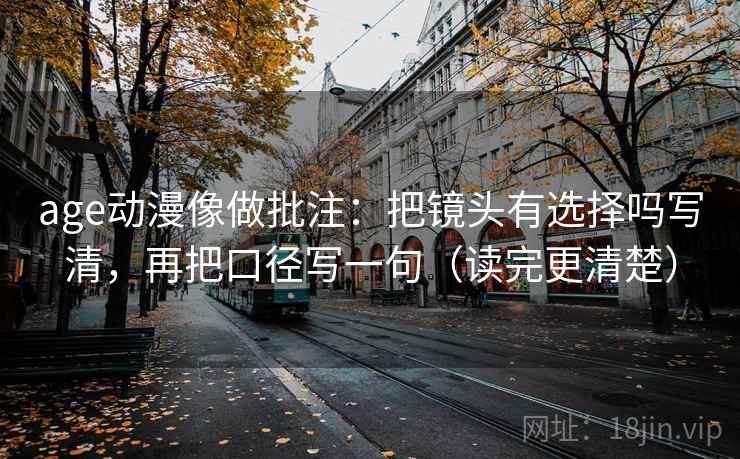 age动漫像做批注：把镜头有选择吗写清，再把口径写一句（读完更清楚）